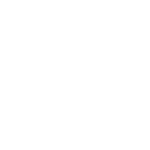 Ranorex DesignWise Logo